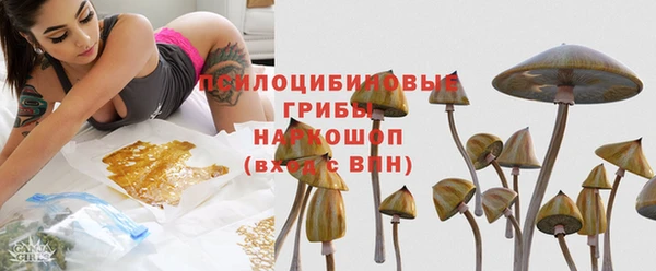 эйфоретик Михайлов