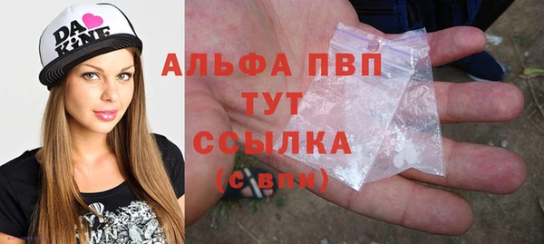 крисы Майский