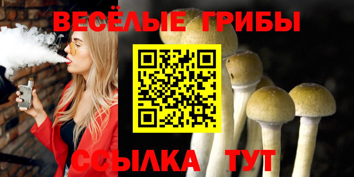 Галлюциногенные грибы Magic Shrooms Нерюнгри