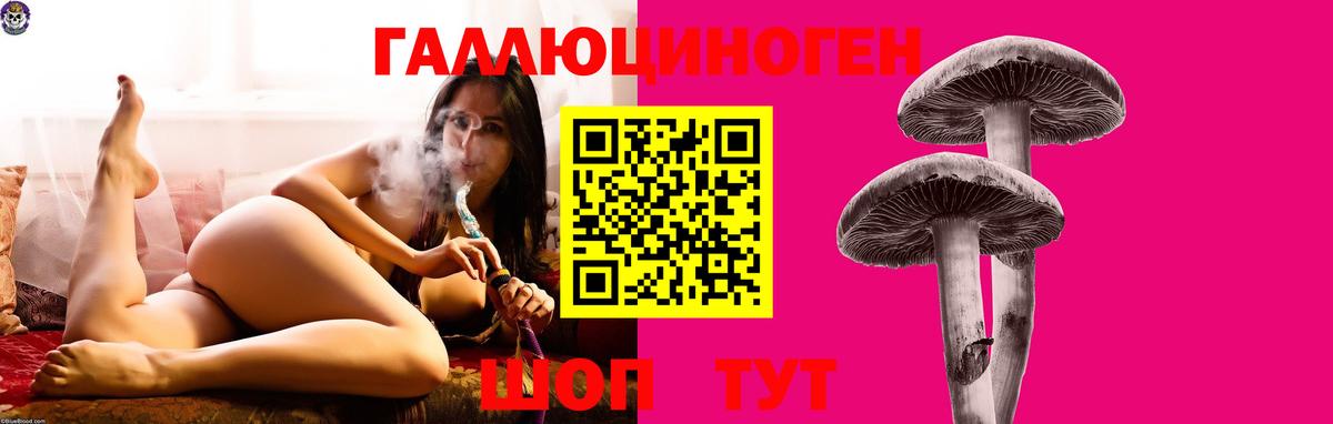 Мефедрон   APVP СОЛЬ   КОКАИН  Цена  НБОМе  ЭКСТАЗИ  Конопля  Нерюнгри  Вход с VPN  Гашиш 