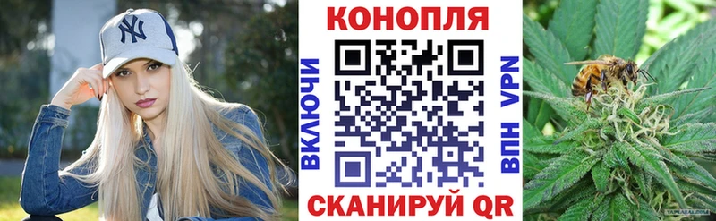 Шишки марихуана ГИДРОПОН  продажа наркотиков  Нерюнгри 
